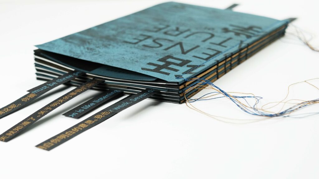 Hao Chai's Ultimate Visual Showcase for Nonsense Literature Publication