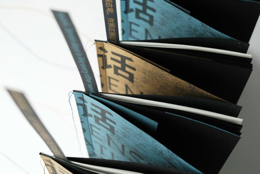 Hao Chai's Ultimate Visual Showcase for Nonsense Literature Publication